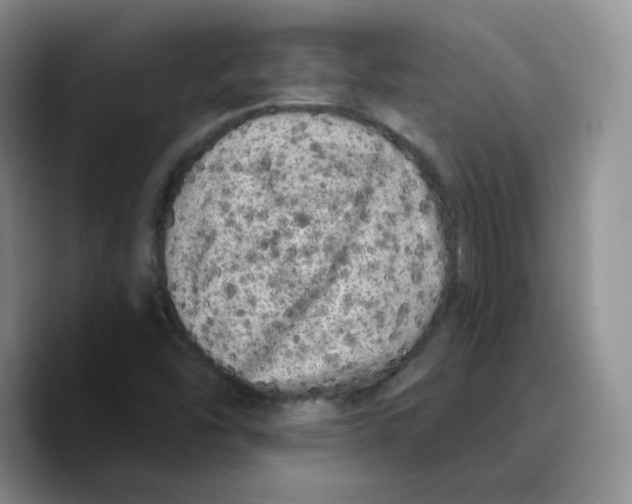 X0000089741454200707201852