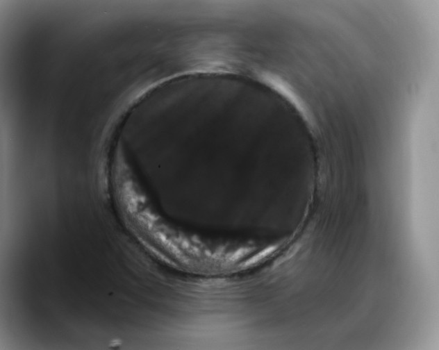 X0000089741455200707201852