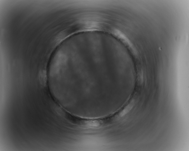 X0000089741457200707201852