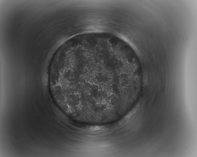 X0000089741459200707201852