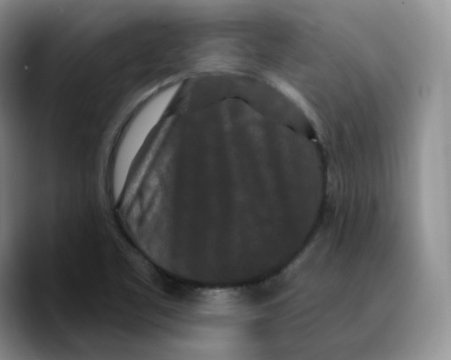 X0000089741461200707201852