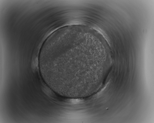 X0000089741465200707201852