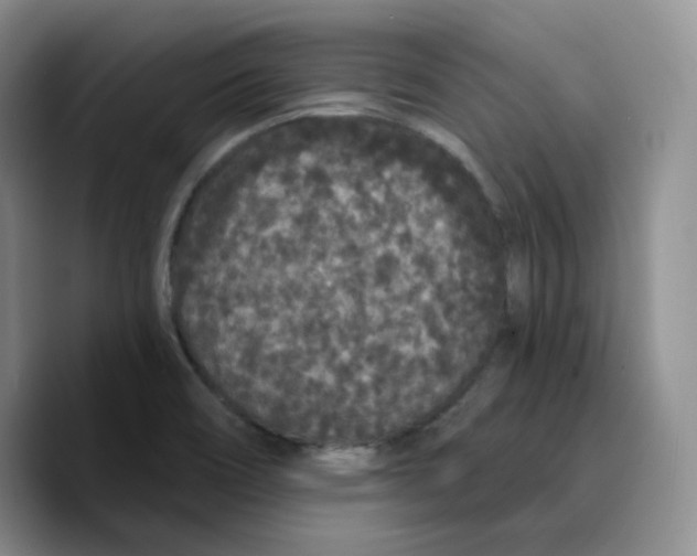 X0000089741466200707201852