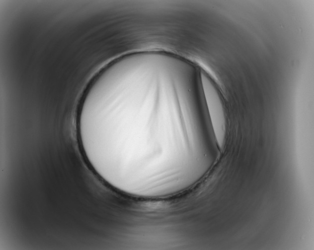 X0000089741468200707201852