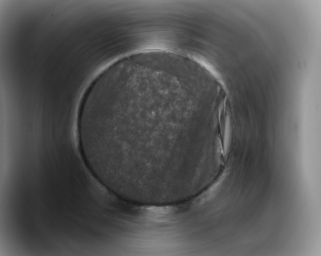 X0000089741469200707201852