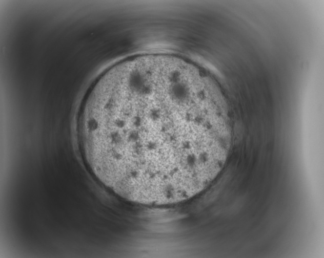 X0000089741470200707201852