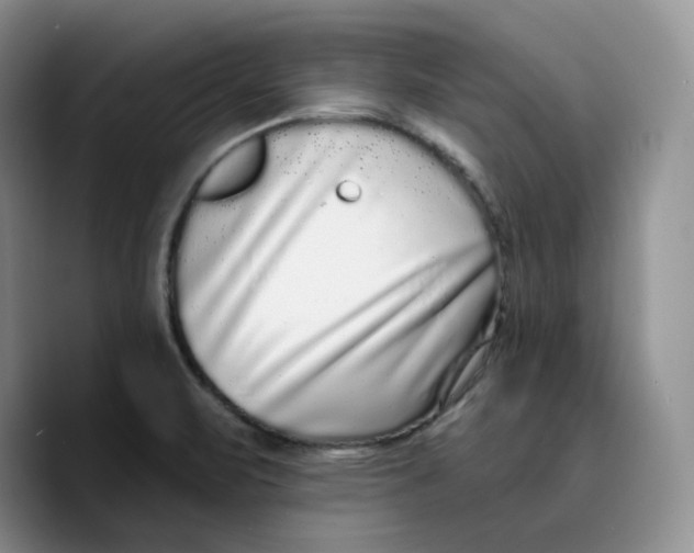 X0000089741471200707201852