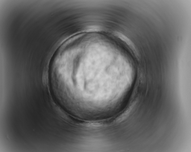 X0000089741473200707201852