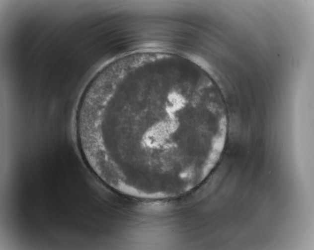 X0000089741474200707201852