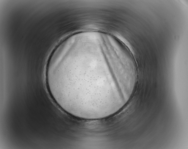 X0000089741477200707201852