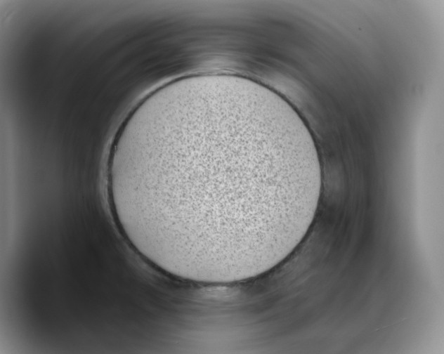 X0000089741478200707201852