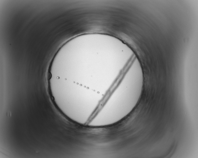 X0000089741479200707201852