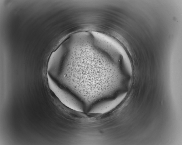 X0000089741481200707201852