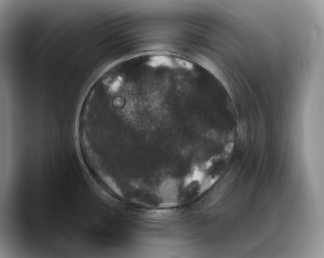 X0000089741482200707201852