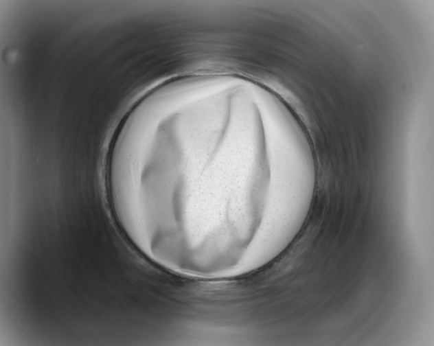 X0000089741486200707201852