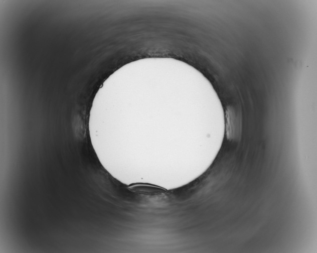 X0000089741491200707201851