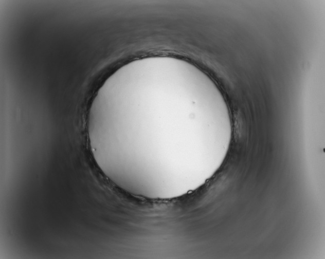 X0000089741494200707201851