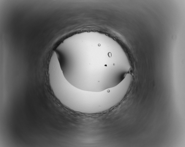 X0000089741496200707201851