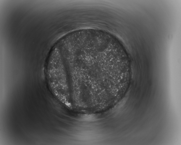 X0000089741497200707201851