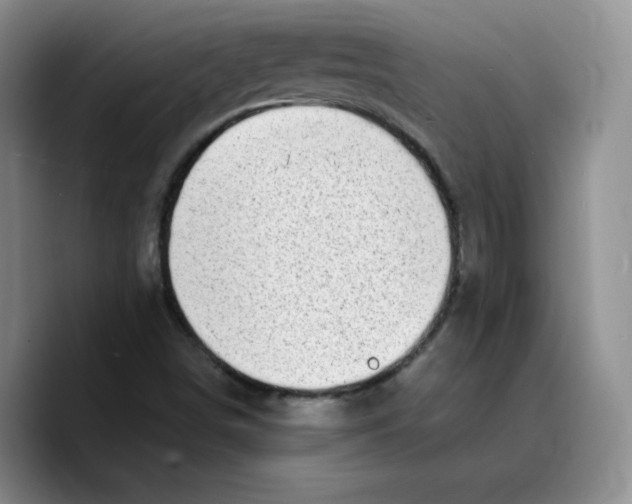 X0000089741498200707201851