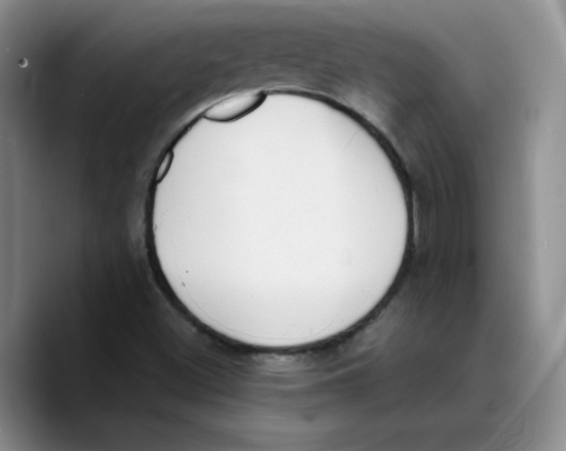 X0000089741500200707201851