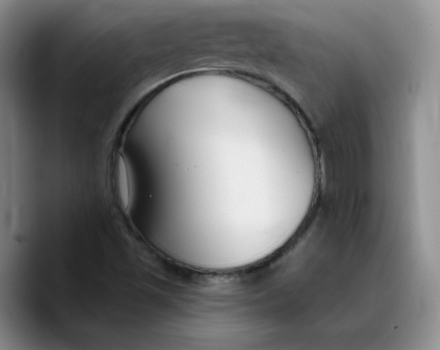 X0000089741501200707201851