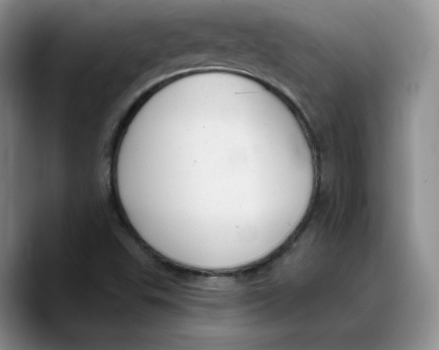 X0000089741503200707201851