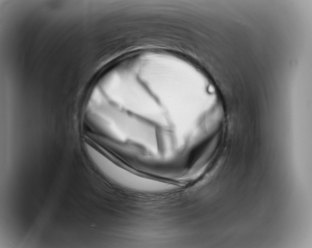 X0000089741505200707201851