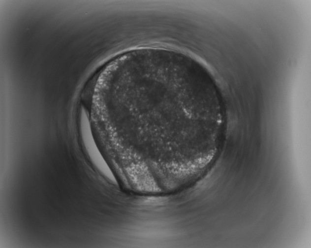 X0000089741506200707201851