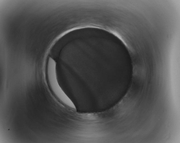 X0000089741508200707201851