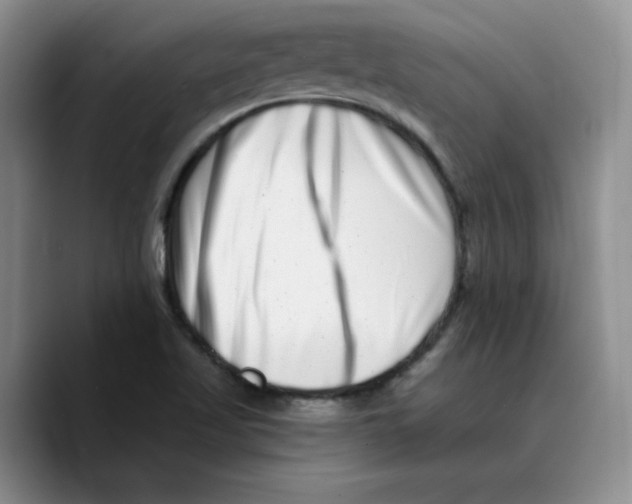 X0000089741509200707201851