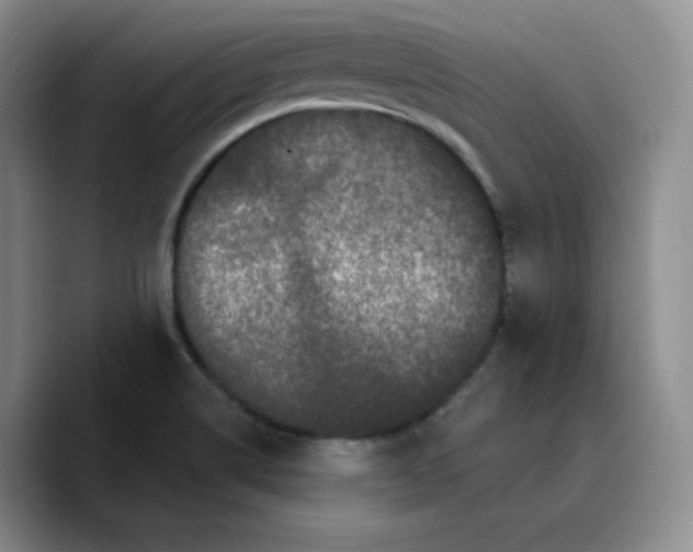 X0000089741514200707201851