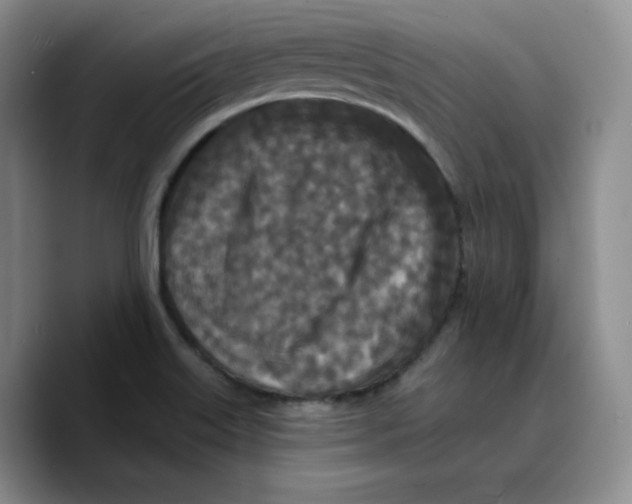 X0000089741515200707201851