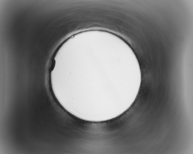 X0000089741518200707201851