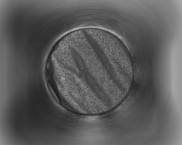 X0000089741519200707201851