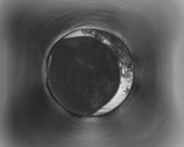 X0000089741522200707201851