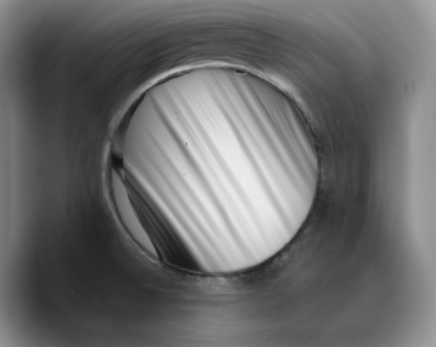 X0000089741524200707201851