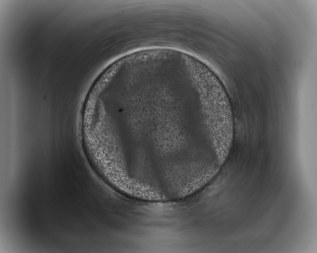 X0000089741527200707201851