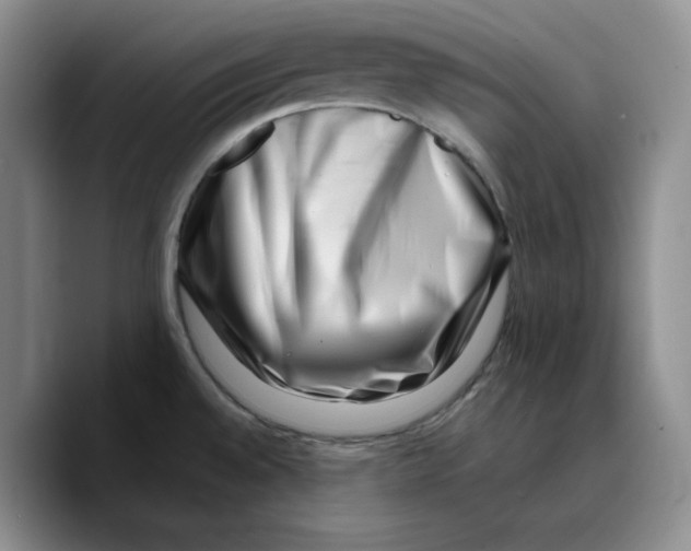 X0000089741528200707201851