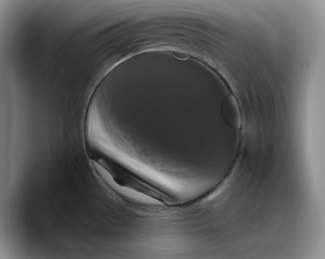 X0000089741529200707201851