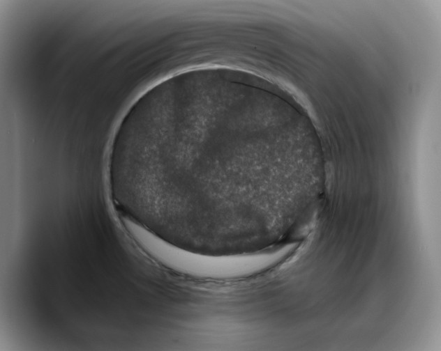 X0000089741530200707201852