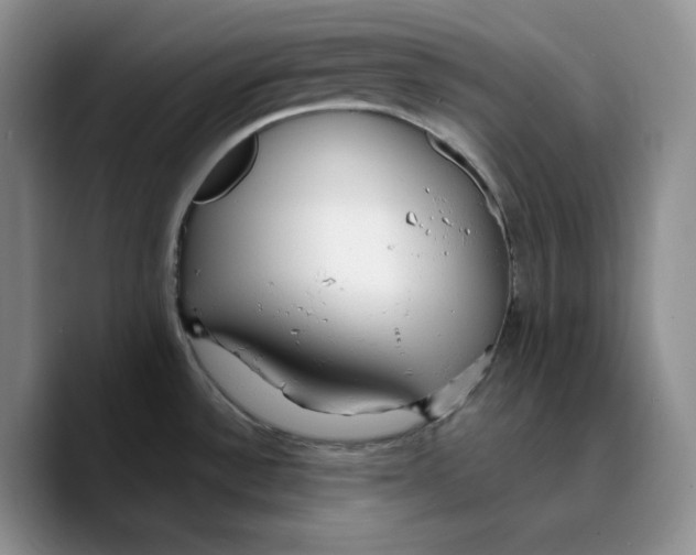 X0000089741532200707201852