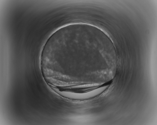 X0000089741535200707201852