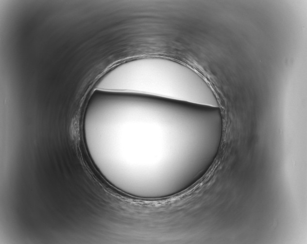 X0000089750002200706210933