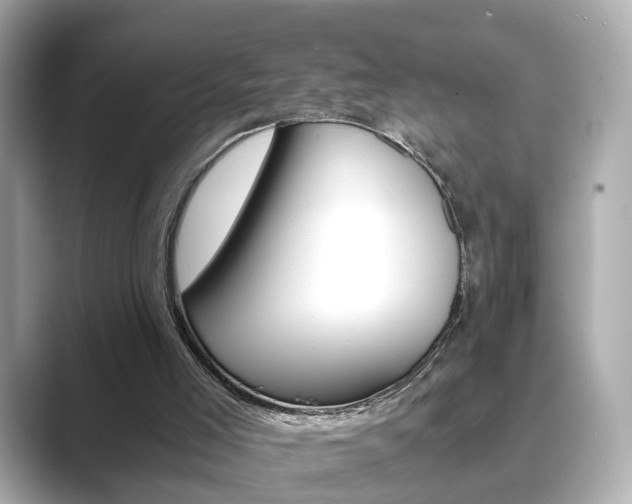 X0000089750005200706210933