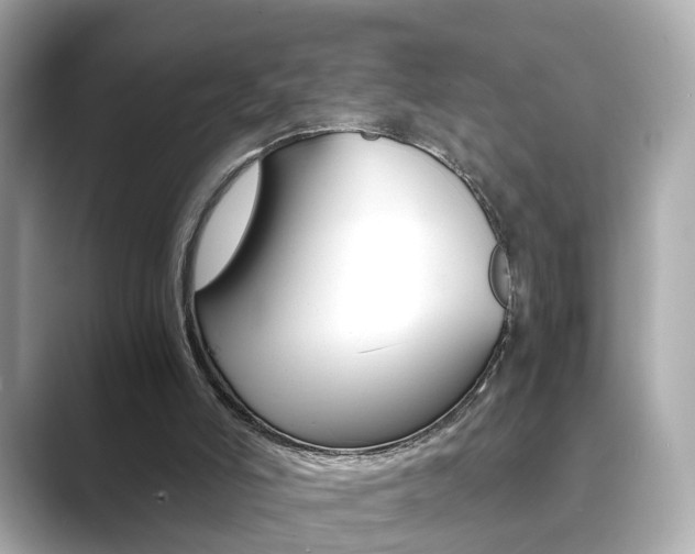 X0000089750006200706210933