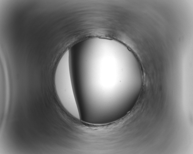X0000089750013200706210933