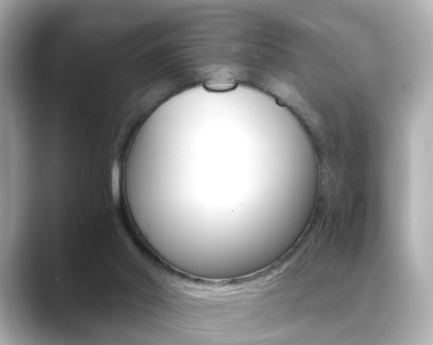 X0000089750014200706210933