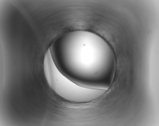 X0000089750017200706210933