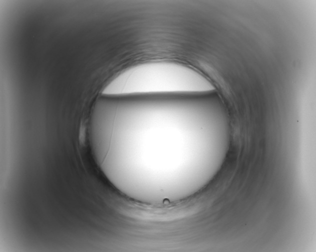 X0000089750026200706210933